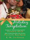 Cover image for Holiday Temptation